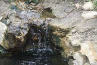 Военно-полевой выход «Полигон»