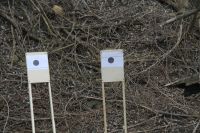 Военно-полевой сбор «Полигон»