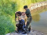 Уборка Георгиевского парка