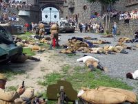 Военно-историческая реконструкция «Брест»