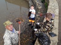 Очистка озера