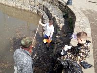 Очистка озера