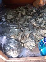 Поездки в воинские части