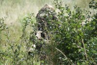 Учебно-тренировочные занятия