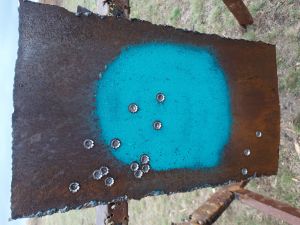 Поездка в воинскую часть