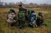 Военно-полевой сбор «Полигон»