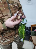 С днем защитника Отечества!