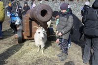 Праздник в Донском военно-историческом музее
