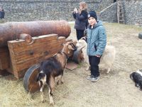 Масленница