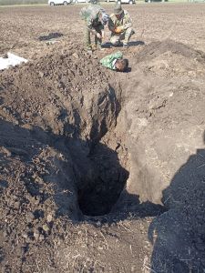 Областная поисковая вахта памяти