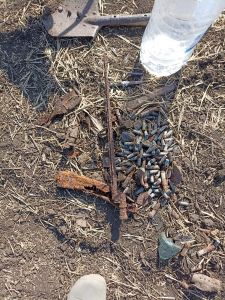 Областная поисковая вахта памяти