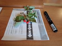 Проект «Библия – настольная книга» Проект «Библия – настольная книга»