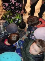 Экскурсии для школьников 103 лицея