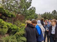 Экскурсии для школьников 103 лицея