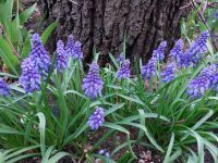 Экскурсии для школьников