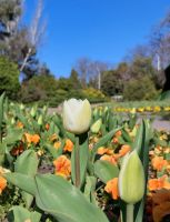 Экскурсии для школьников