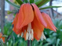 Экскурсии для школьников