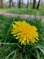 Экскурсии для школьников