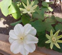 Экскурсии для школьников