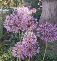 Экскурсии для школьников