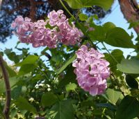 Экскурсии для школьников