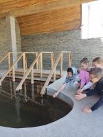 Экскурсии для школьников