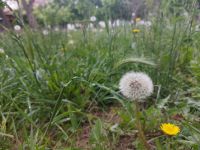 Экскурсии для школьников