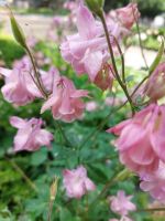 Экскурсии для школьников