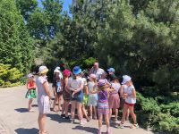 Экскурсии в июне