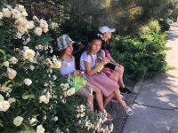 Экскурсии в июне