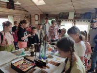 Экскурсии в июне