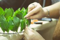 40 венцов для Севастийских мучеников