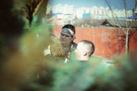 Посадка елей