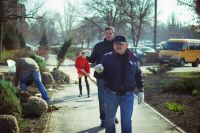 Посадка елей