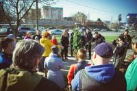 Посадка елей