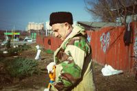 Посадка елей