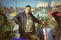 Посадка елей