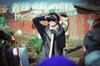 Посадка елей