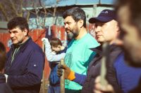 Посадка елей