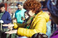 Посадка елей