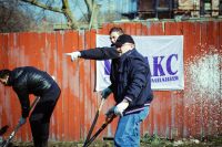 Посадка елей