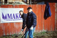 Посадка елей