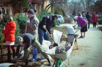 Посадка елей