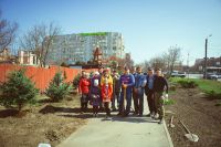 Посадка елей