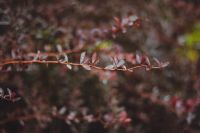 Краски лета у нас на приходе