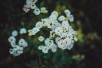 Краски лета у нас на приходе