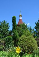 Краски лета у нас на приходе