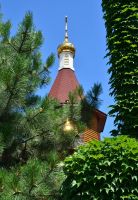 Краски лета у нас на приходе