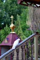 Краски лета у нас на приходе