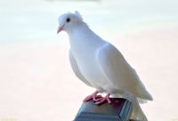 Краски лета у нас на приходе